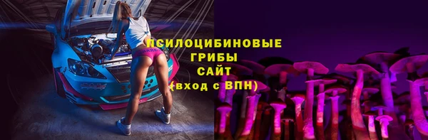 соль ск Козельск