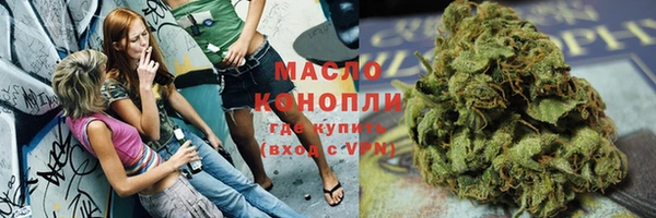 соль ск Козельск