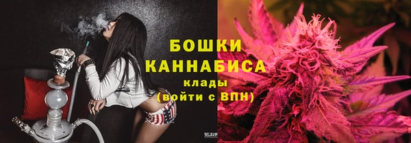 соль ск Козельск