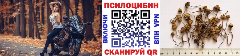 Купить закладки  Бабаево  Галлюциногенные грибы мухоморы 
